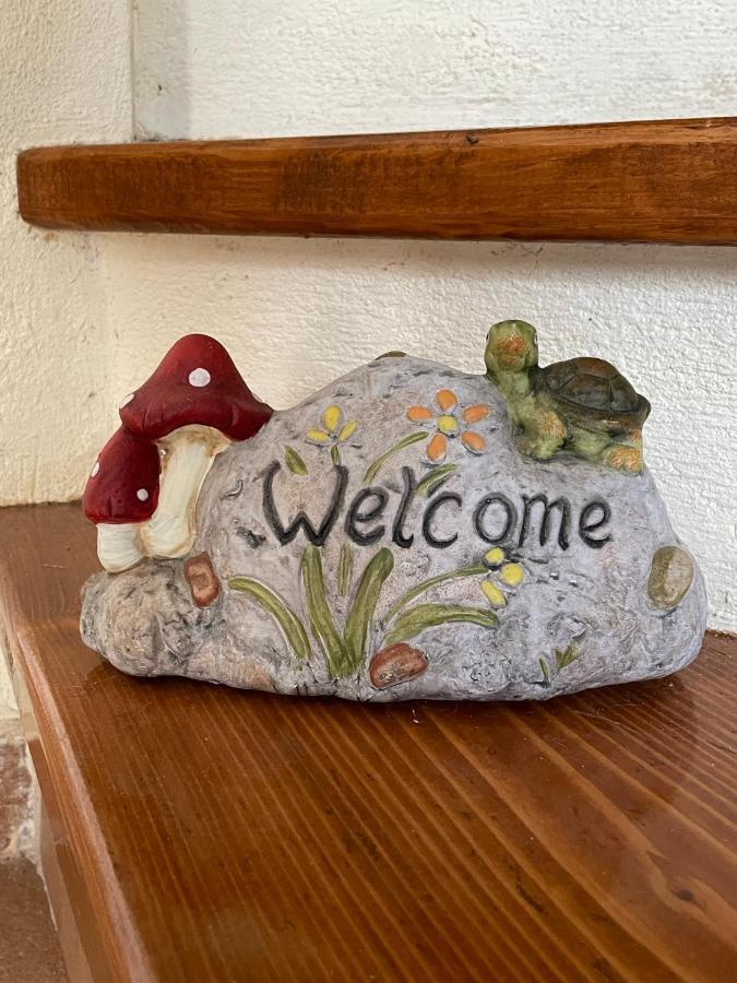 Camellia Guesthouse Anilio Pelion Екстериор снимка