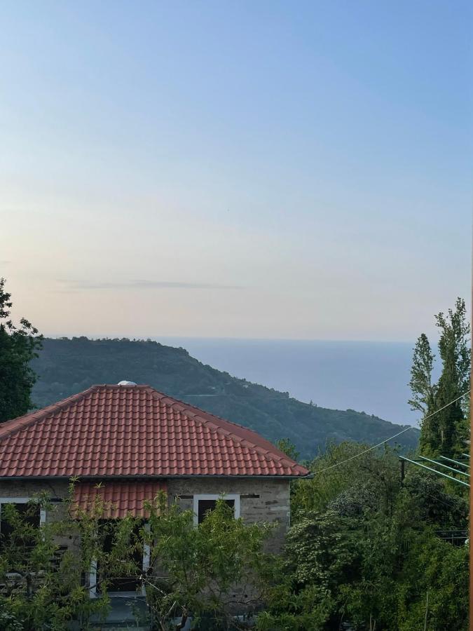 Camellia Guesthouse Anilio Pelion Екстериор снимка