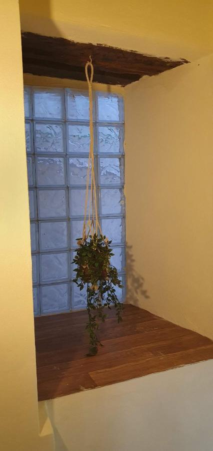 Camellia Guesthouse Anilio Pelion Екстериор снимка