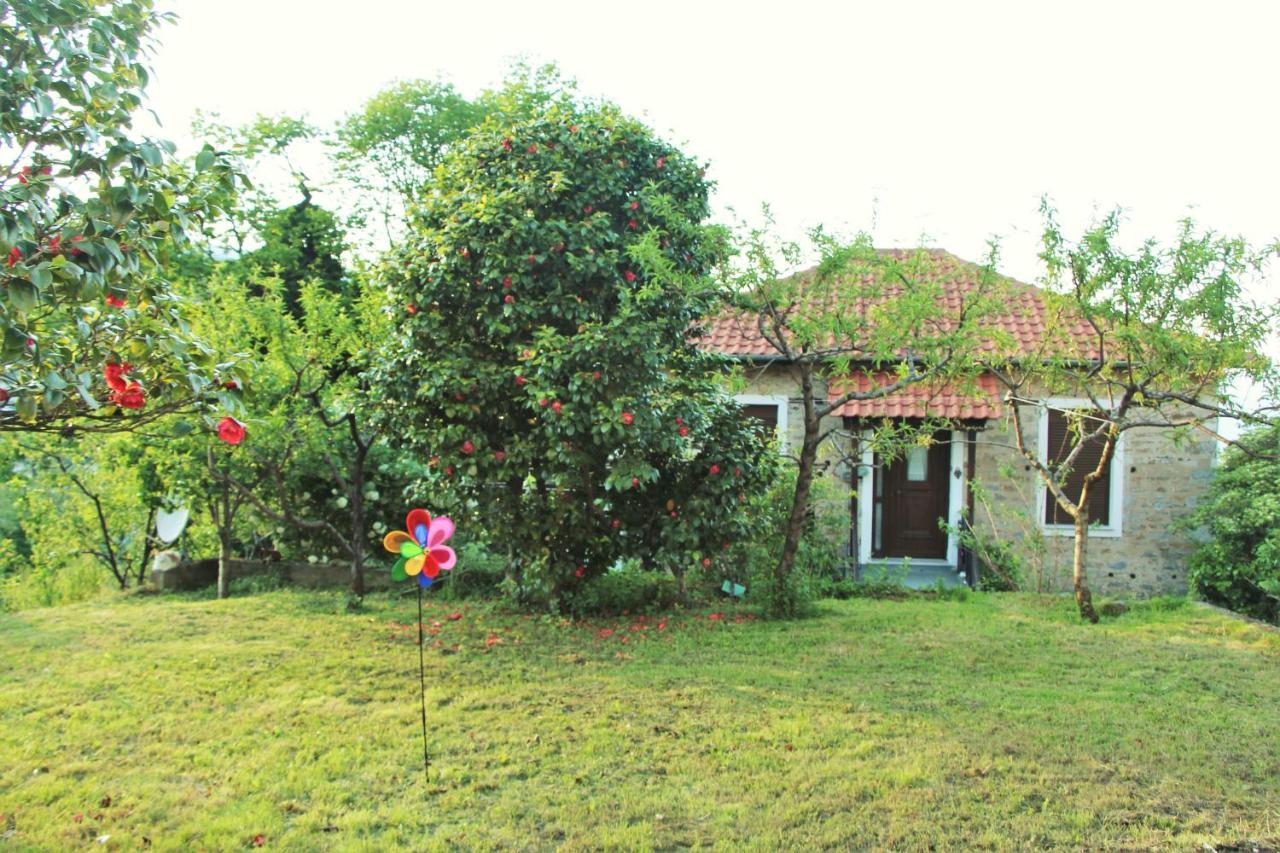 Camellia Guesthouse Anilio Pelion Екстериор снимка